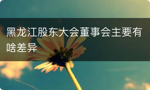 黑龙江股东大会董事会主要有啥差异