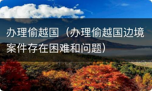 办理偷越国（办理偷越国边境案件存在困难和问题）