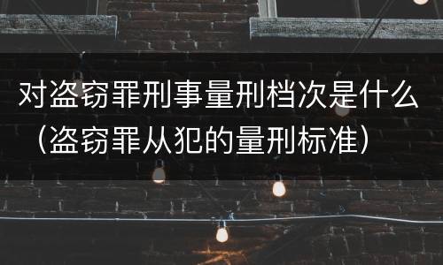 对盗窃罪刑事量刑档次是什么（盗窃罪从犯的量刑标准）