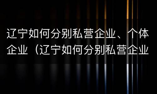 辽宁如何分别私营企业、个体企业（辽宁如何分别私营企业,个体企业呢）