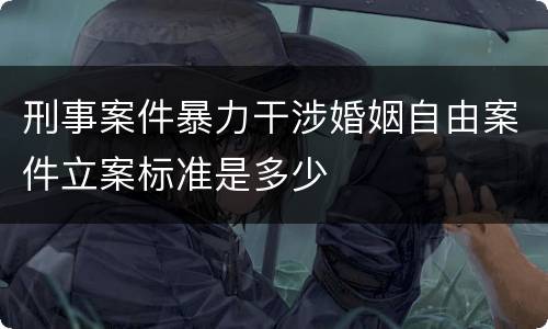 刑事案件暴力干涉婚姻自由案件立案标准是多少