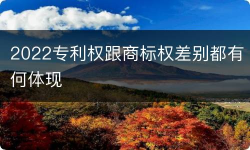 2022专利权跟商标权差别都有何体现