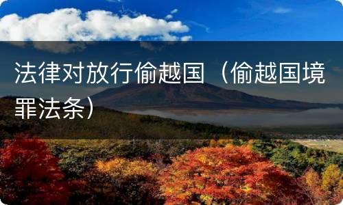 法律对放行偷越国（偷越国境罪法条）