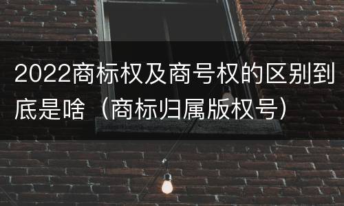 2022商标权及商号权的区别到底是啥（商标归属版权号）