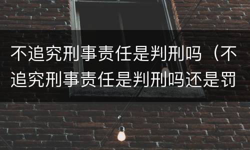 不追究刑事责任是判刑吗（不追究刑事责任是判刑吗还是罚款）
