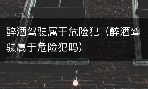 醉酒驾驶属于危险犯（醉酒驾驶属于危险犯吗）