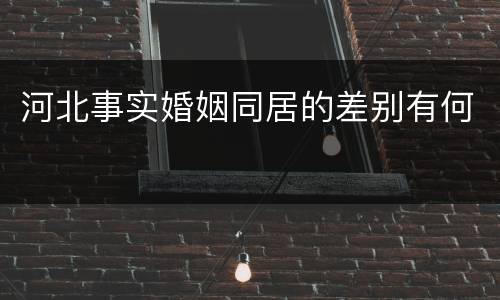 河北事实婚姻同居的差别有何