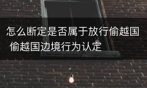 怎么断定是否属于放行偷越国 偷越国边境行为认定