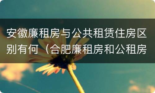安徽廉租房与公共租赁住房区别有何（合肥廉租房和公租房的区别）