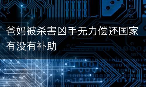 爸妈被杀害凶手无力偿还国家有没有补助