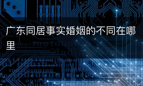 广东同居事实婚姻的不同在哪里