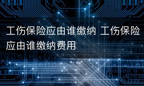 工伤保险应由谁缴纳 工伤保险应由谁缴纳费用