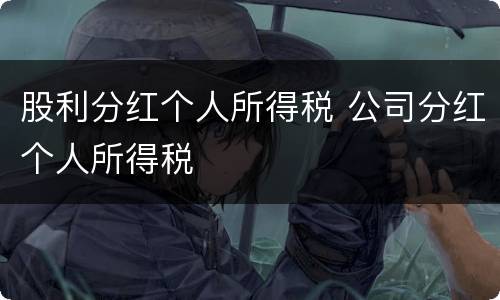 股利分红个人所得税 公司分红个人所得税