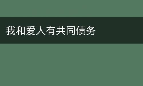 我和爱人有共同债务