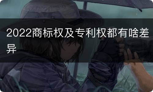 2022商标权及专利权都有啥差异