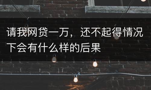 请我网贷一万，还不起得情况下会有什么样的后果