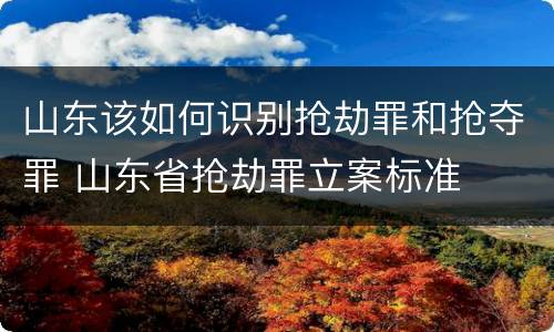 山东该如何识别抢劫罪和抢夺罪 山东省抢劫罪立案标准