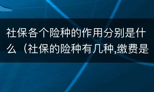 社保各个险种的作用分别是什么（社保的险种有几种,缴费是一样的吗）