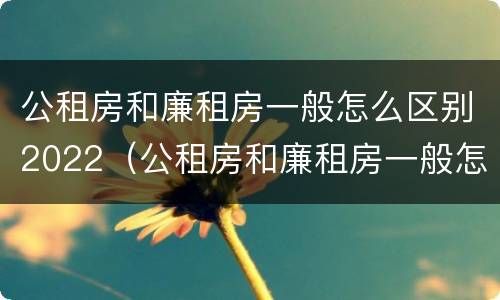 公租房和廉租房一般怎么区别2022（公租房和廉租房一般怎么区别2022年的）
