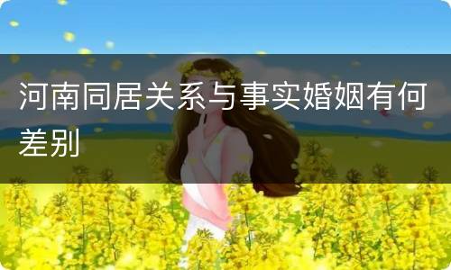 河南同居关系与事实婚姻有何差别