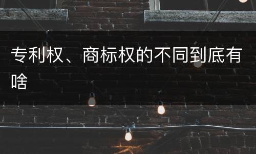 专利权、商标权的不同到底有啥