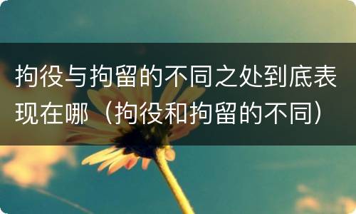 拘役与拘留的不同之处到底表现在哪（拘役和拘留的不同）