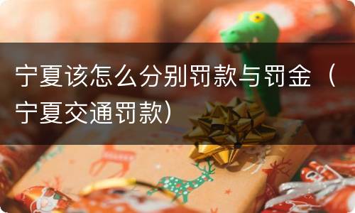 宁夏该怎么分别罚款与罚金（宁夏交通罚款）