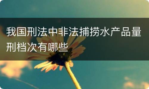我国刑法中非法捕捞水产品量刑档次有哪些