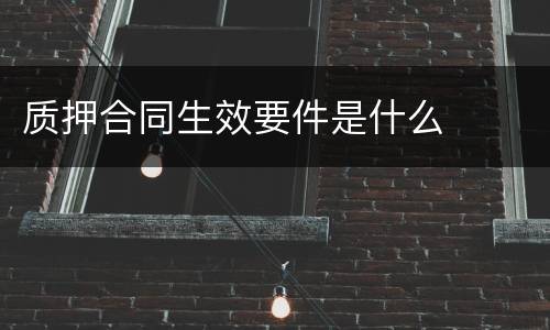 质押合同生效要件是什么