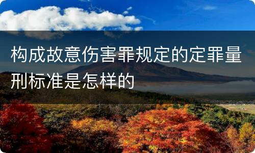 构成故意伤害罪规定的定罪量刑标准是怎样的