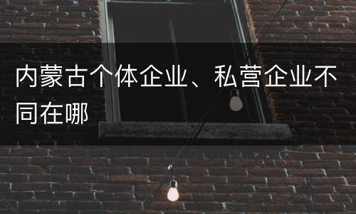 内蒙古个体企业、私营企业不同在哪