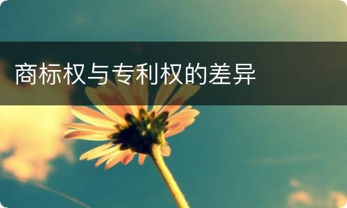 商标权与专利权的差异