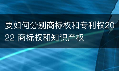 要如何分别商标权和专利权2022 商标权和知识产权