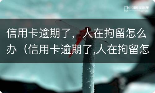信用卡逾期了，人在拘留怎么办（信用卡逾期了,人在拘留怎么办理）