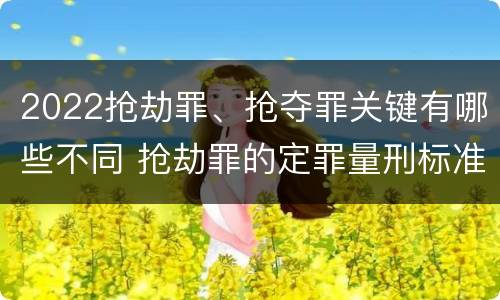 2022抢劫罪、抢夺罪关键有哪些不同 抢劫罪的定罪量刑标准