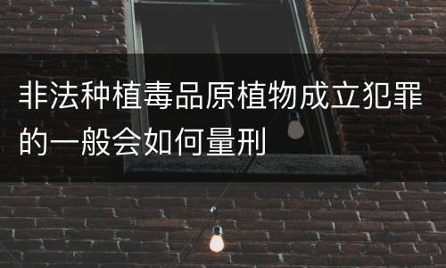 非法种植毒品原植物成立犯罪的一般会如何量刑