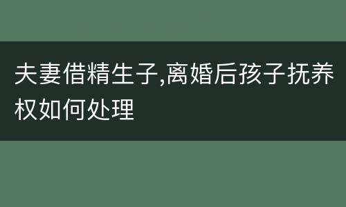 夫妻借精生子,离婚后孩子抚养权如何处理