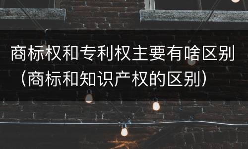 商标权和专利权主要有啥区别（商标和知识产权的区别）