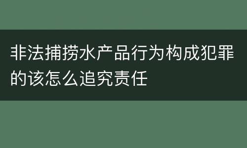 非法捕捞水产品行为构成犯罪的该怎么追究责任