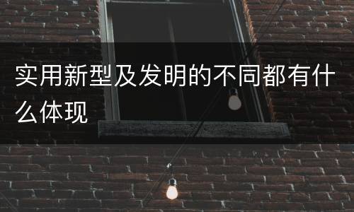 实用新型及发明的不同都有什么体现