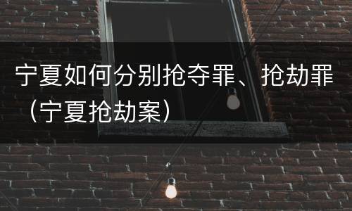 宁夏如何分别抢夺罪、抢劫罪（宁夏抢劫案）