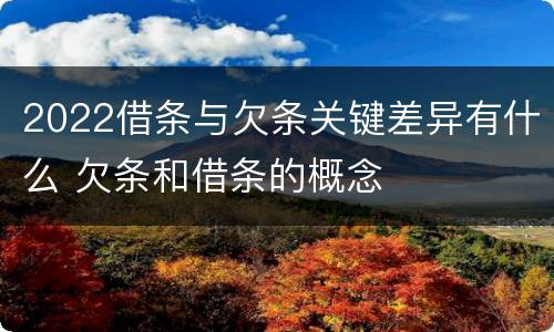 2022借条与欠条关键差异有什么 欠条和借条的概念