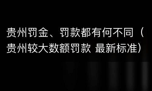 贵州罚金、罚款都有何不同（贵州较大数额罚款 最新标准）