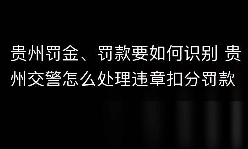 贵州罚金、罚款要如何识别 贵州交警怎么处理违章扣分罚款