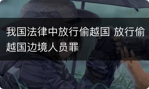 我国法律中放行偷越国 放行偷越国边境人员罪