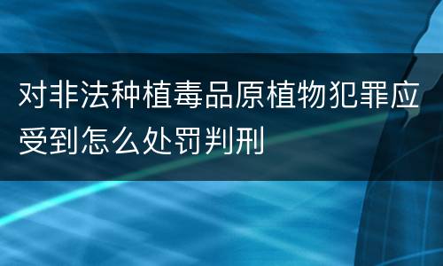 对非法种植毒品原植物犯罪应受到怎么处罚判刑