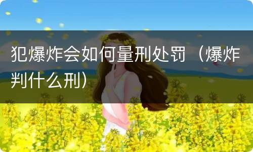 犯爆炸会如何量刑处罚（爆炸判什么刑）