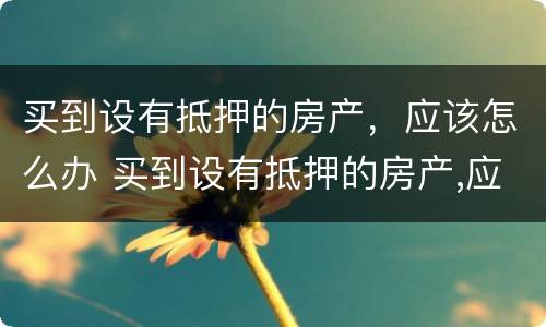 买到设有抵押的房产，应该怎么办 买到设有抵押的房产,应该怎么办呢