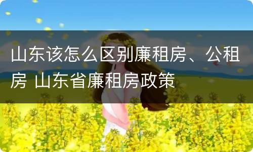 山东该怎么区别廉租房、公租房 山东省廉租房政策