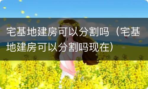 宅基地建房可以分割吗（宅基地建房可以分割吗现在）